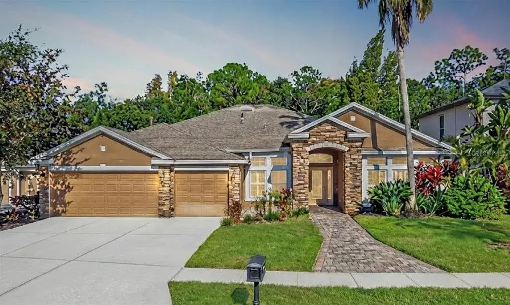 16121 Brecon Palms Place, Tampa, FL, 33647