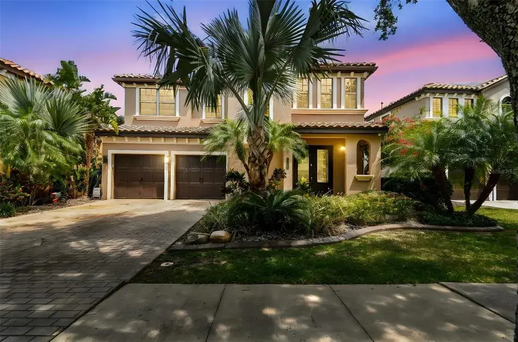 20347 Chestnut Grove Drive, Tampa, FL, 33647