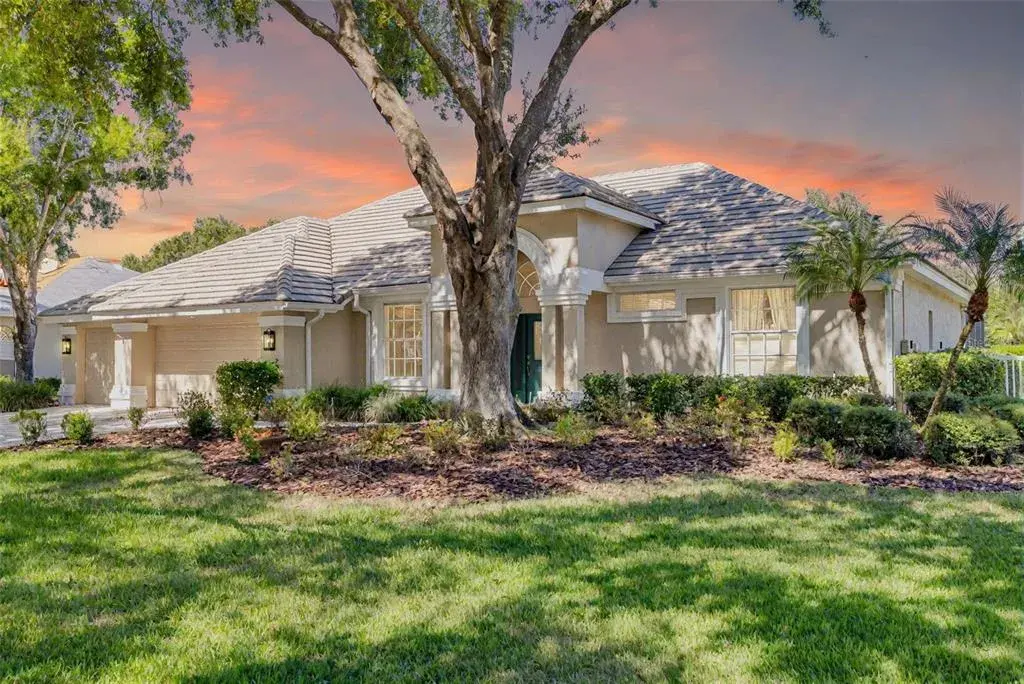 9116 Woodridge Run Drive, Tampa, FL, 33647