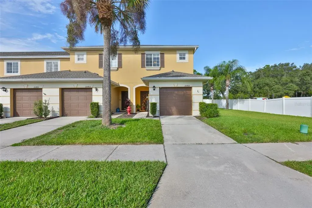 20484 Needletree Drive, Tampa, FL, 33647