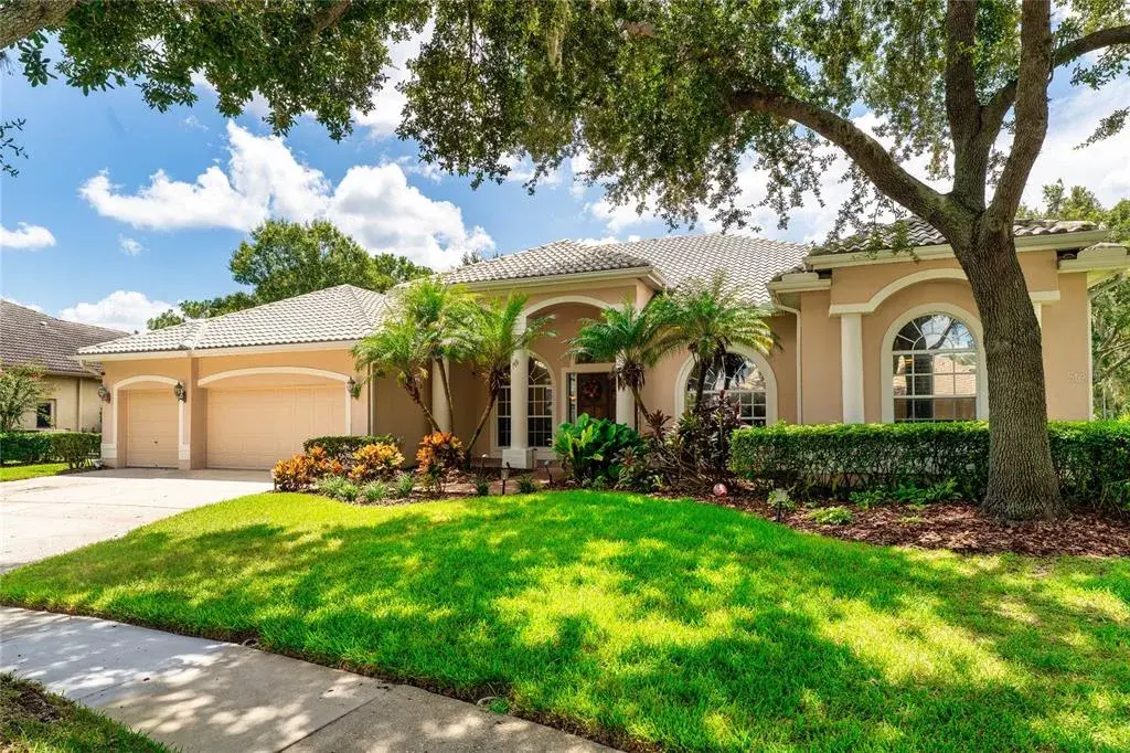 9117 Woodridge Run Drive, Tampa, FL, 33647