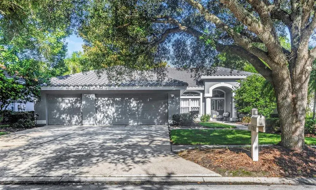 17818 Hickory Moss Place, Tampa, FL, 33647