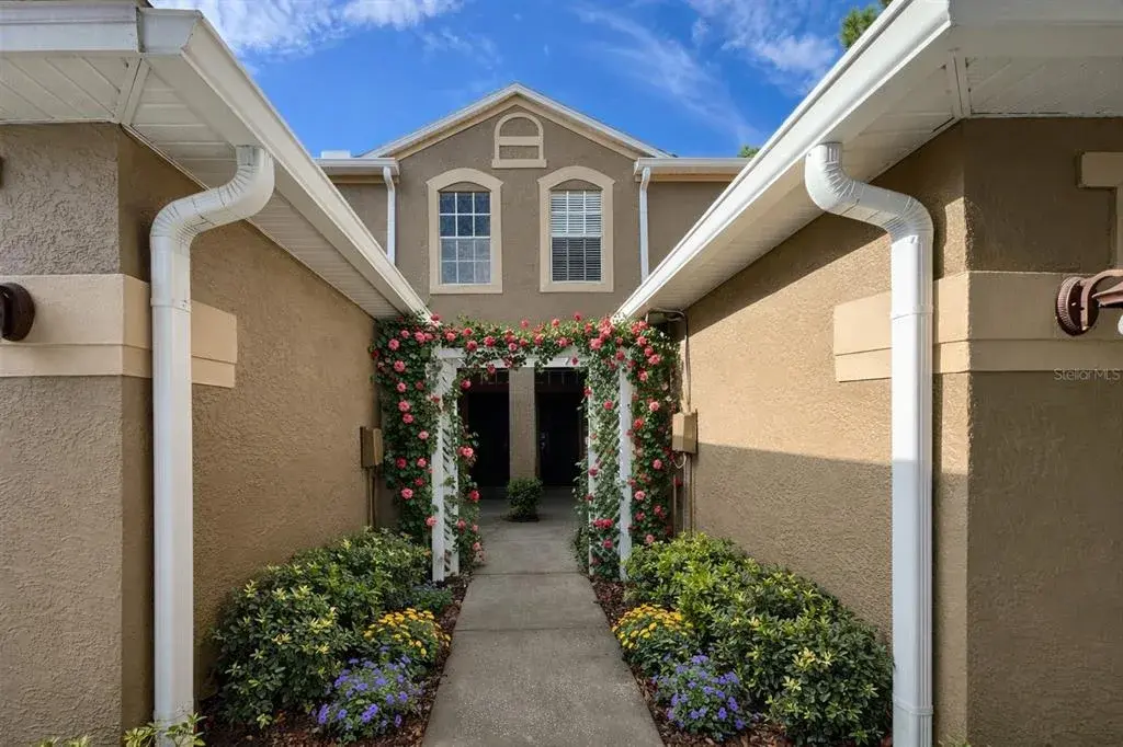 18805 Duquesne Drive, Tampa, FL, 33647