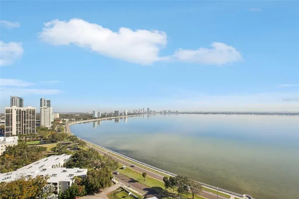 3401 Bayshore Boulevard Unit 1704, Tampa, FL, 33629