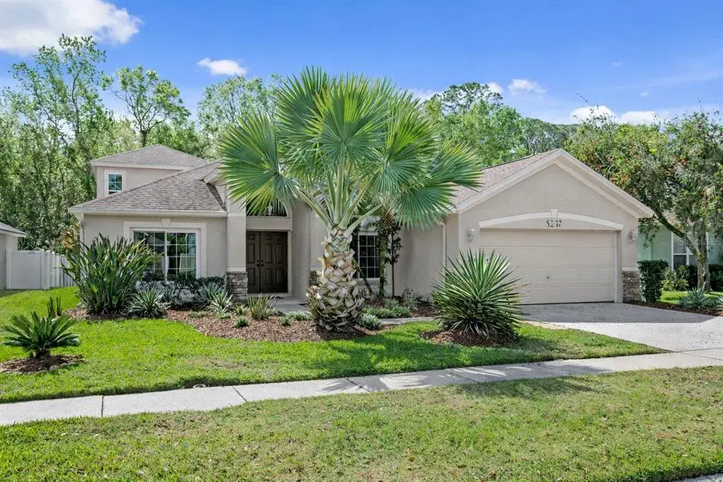 8263 Swann Hollow Drive, Tampa, FL, 33647