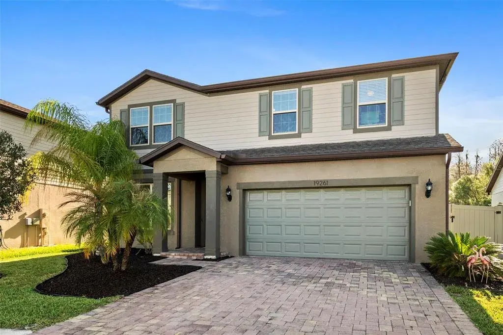 19261 Mossy Pine Drive, Tampa, FL, 33647