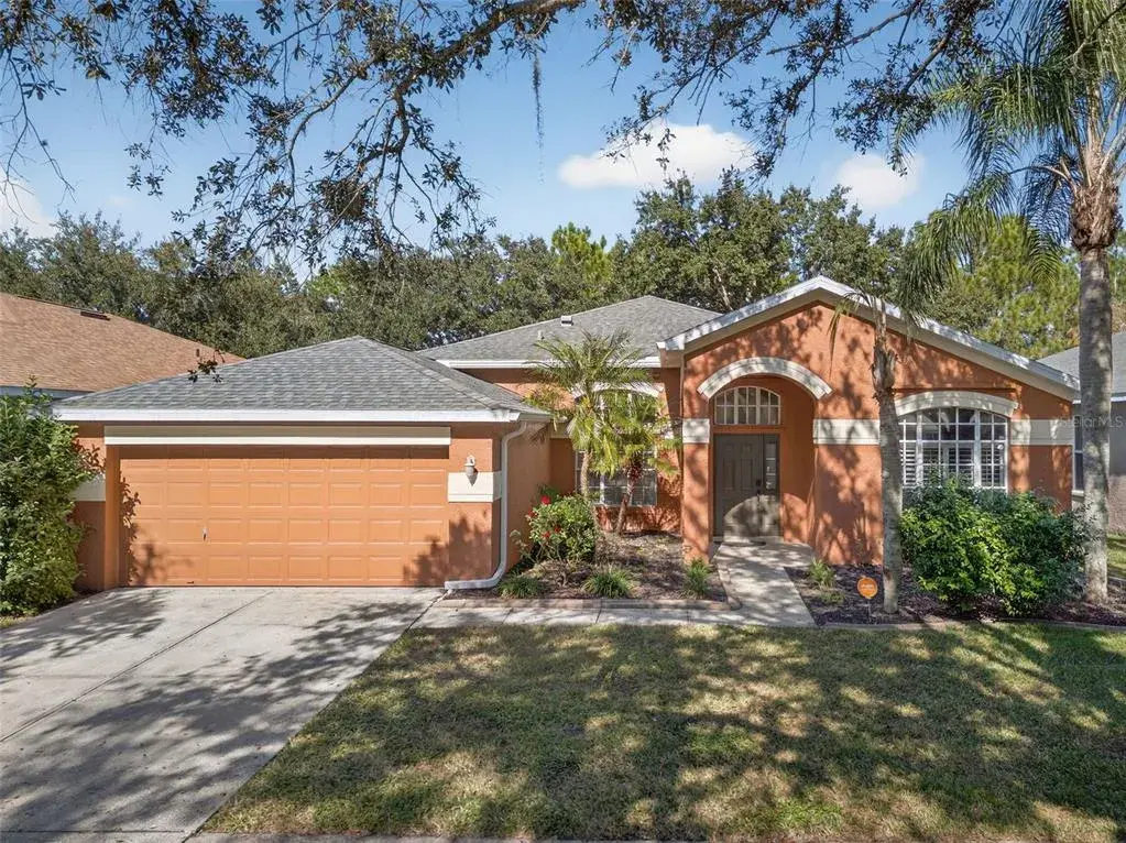 19156 Dove Creek Drive, Tampa, FL, 33647