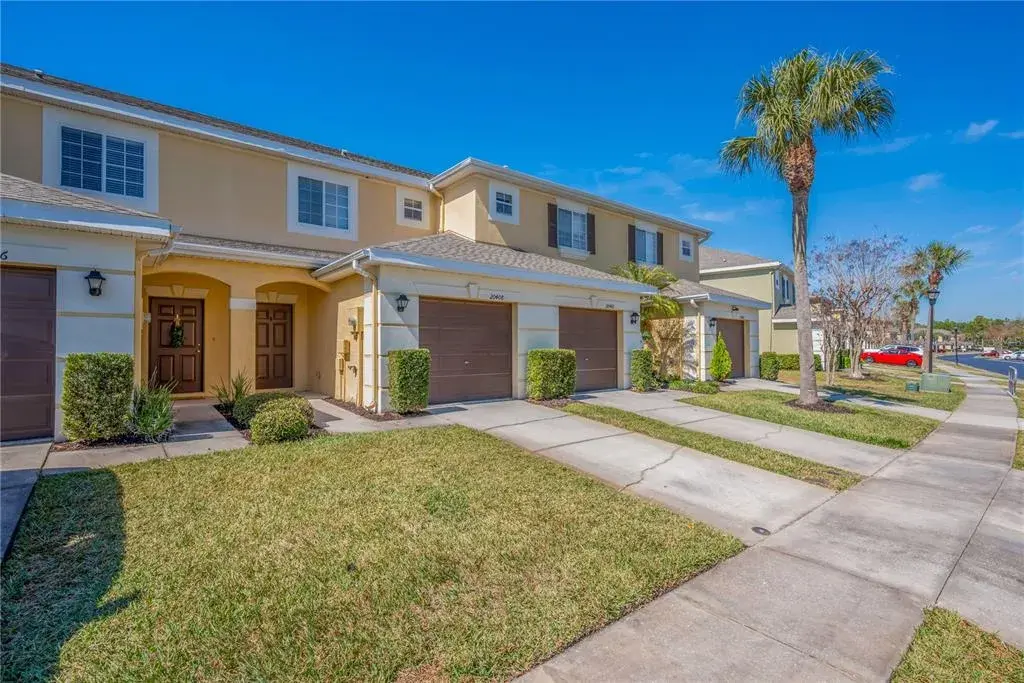 20408 Needletree Drive, Tampa, FL, 33647