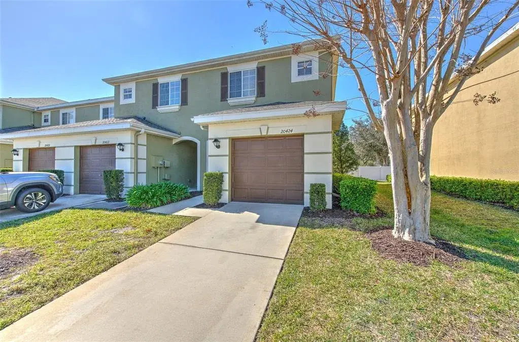 20424 Needletree Drive, Tampa, FL, 33647