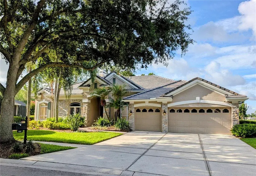 9107 Woodridge Run Drive, Tampa, FL, 33647