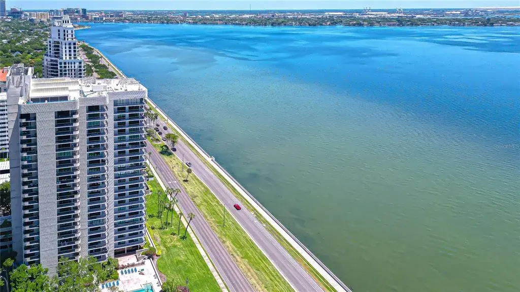 Iconic Bayshore Boulevard Views