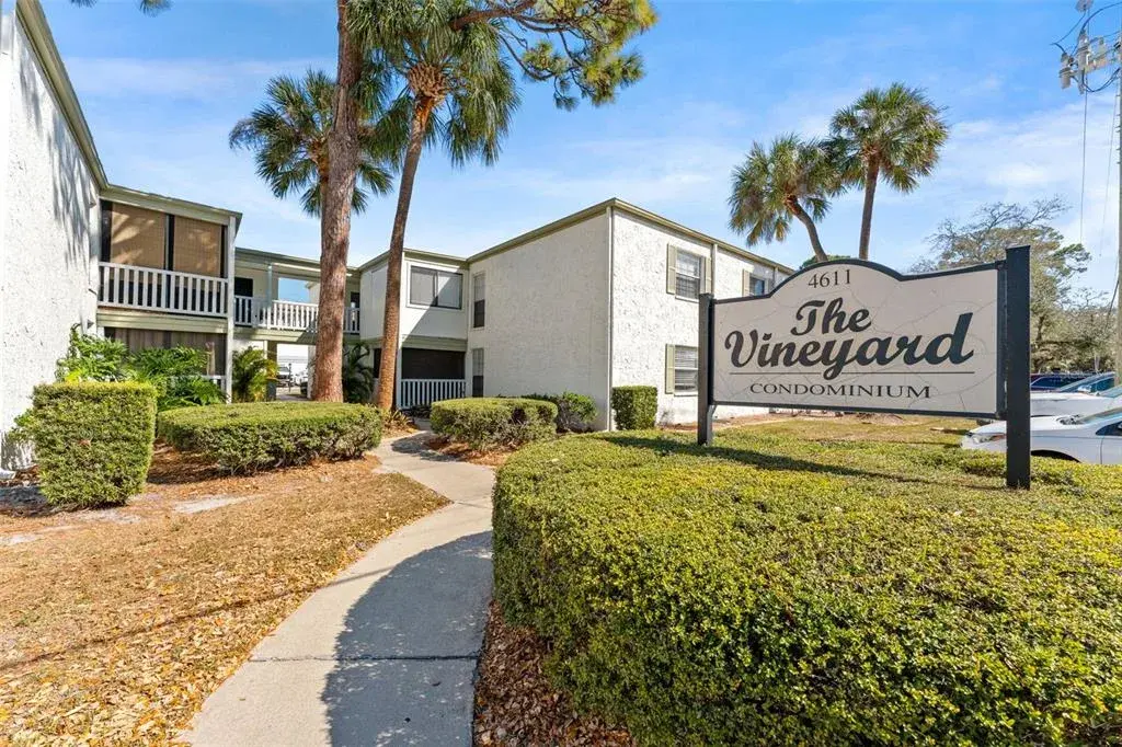 Welcome to The Vineyard!