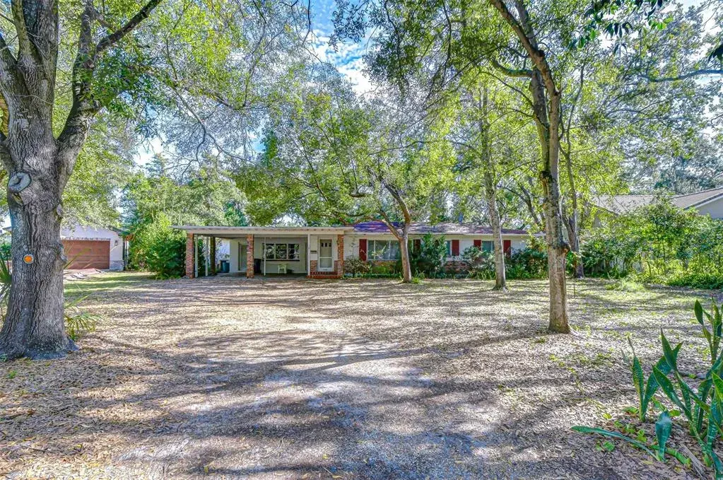 Exterior & Property