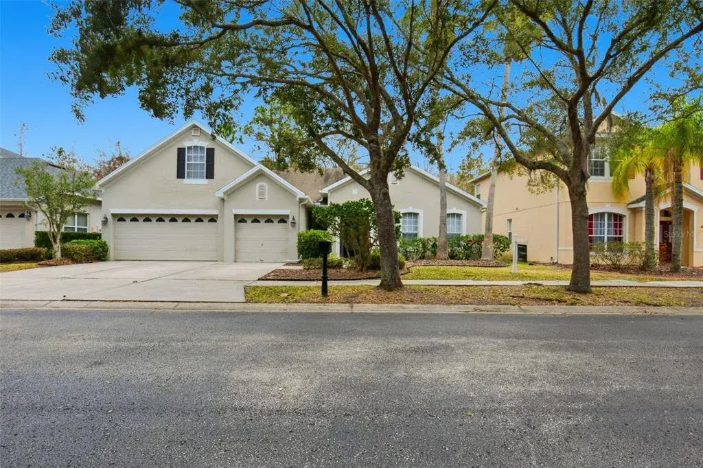 16161 Colchester Palms Drive, Tampa, FL, 33647