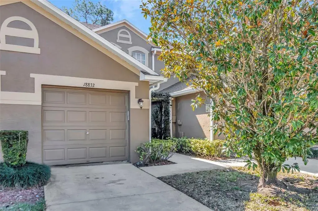 18832 Duquesne Drive, Tampa, FL, 33647