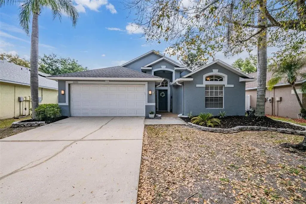18955 Wood Sage Drive, Tampa, FL, 33647