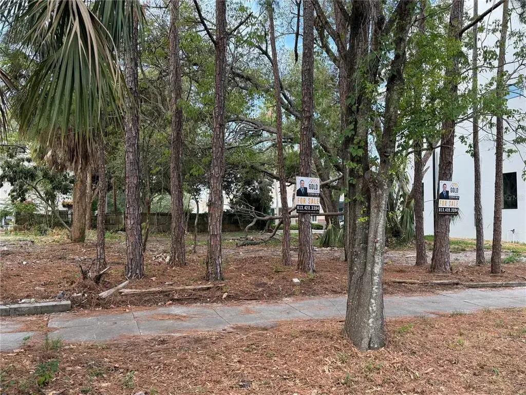 2318 W North B Street, Tampa, FL, 33609