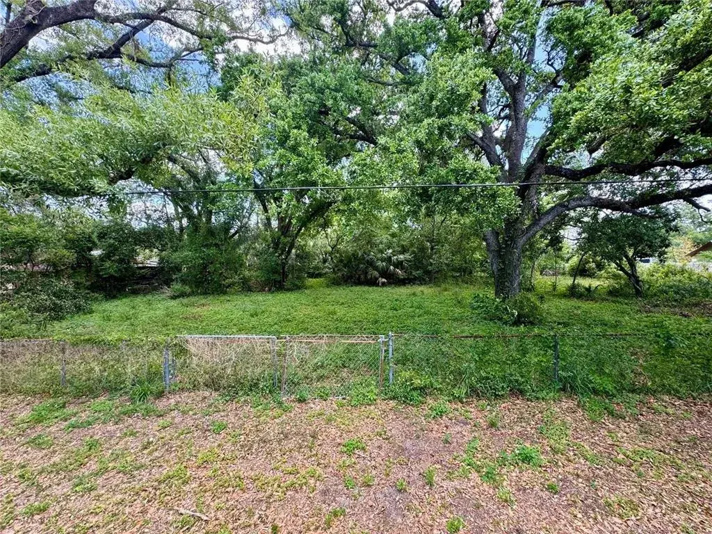 8715 N Temple Avenue, Tampa, FL, 33617