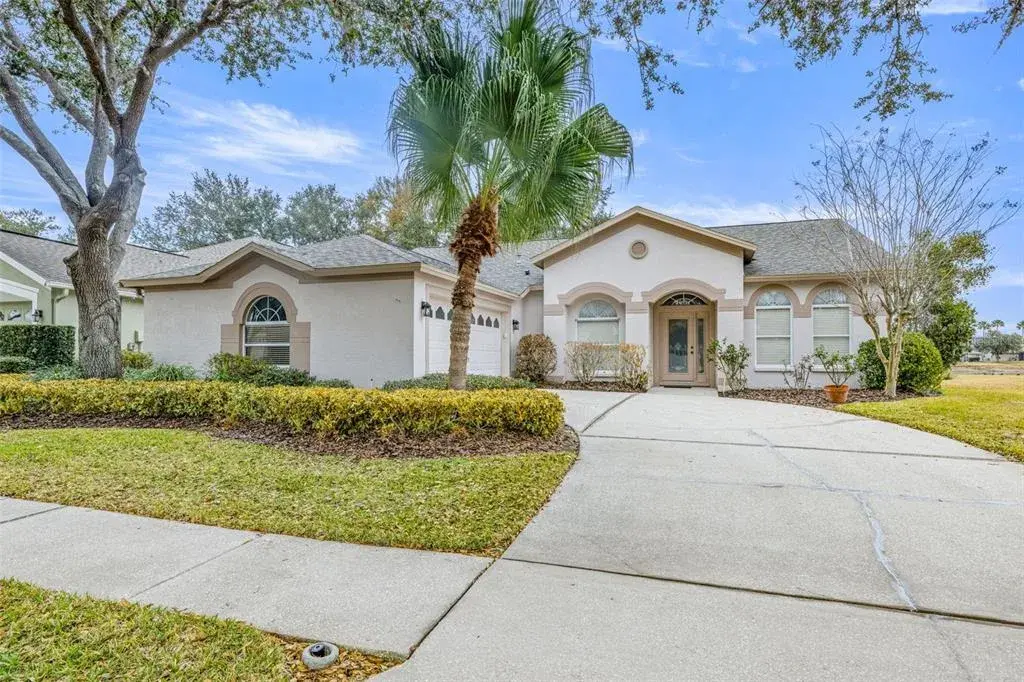 10246 Timberland Point Dr, Tampa, FL, 33647