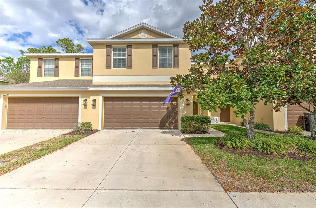 20223 Indian Rosewood Drive, Tampa, FL, 33647
