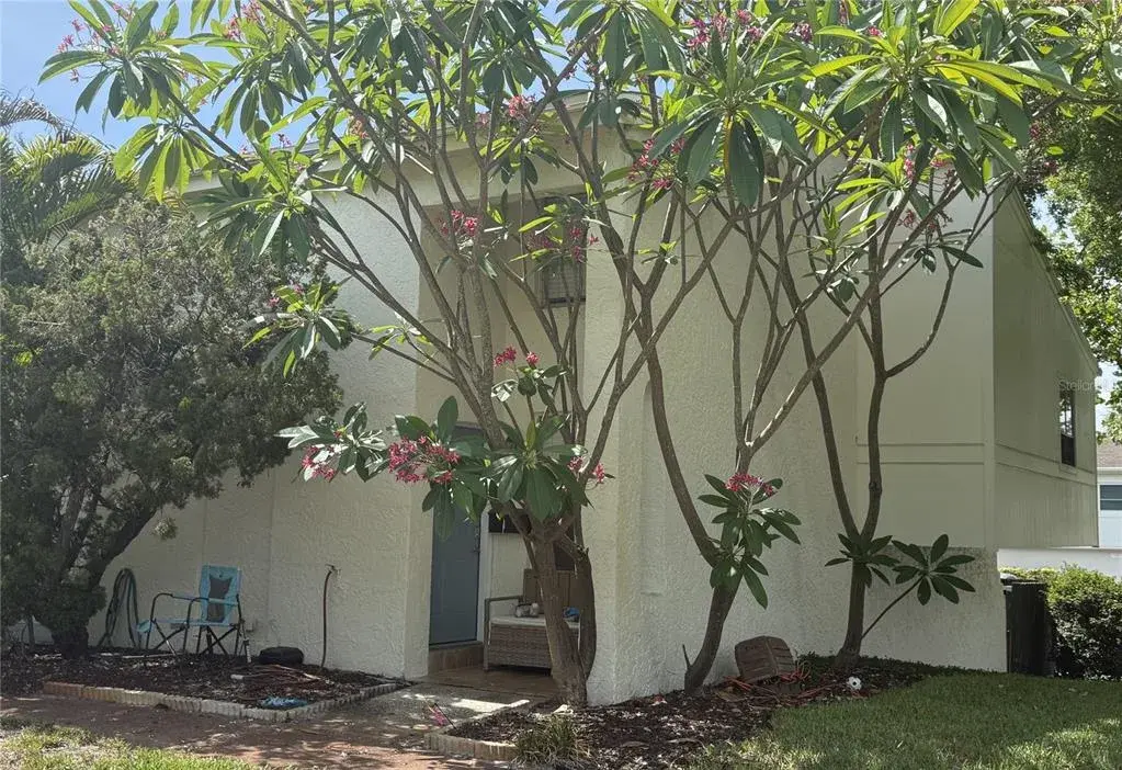 4221 La Sorrento Court, Tampa, FL, 33611