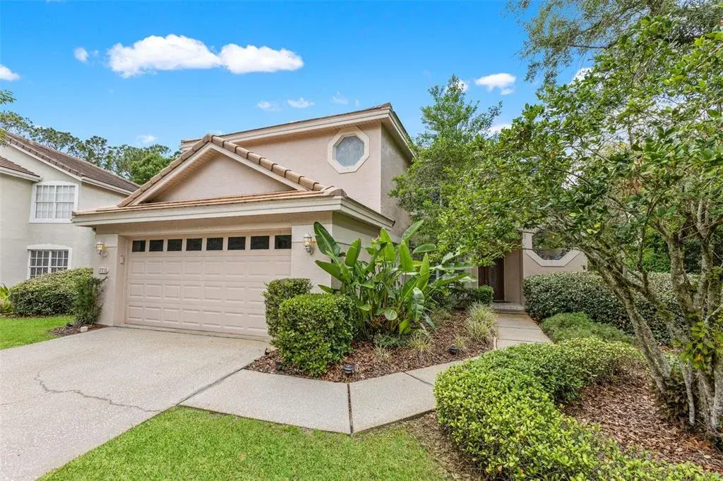 17716 Nathans Drive, Tampa, FL, 33647