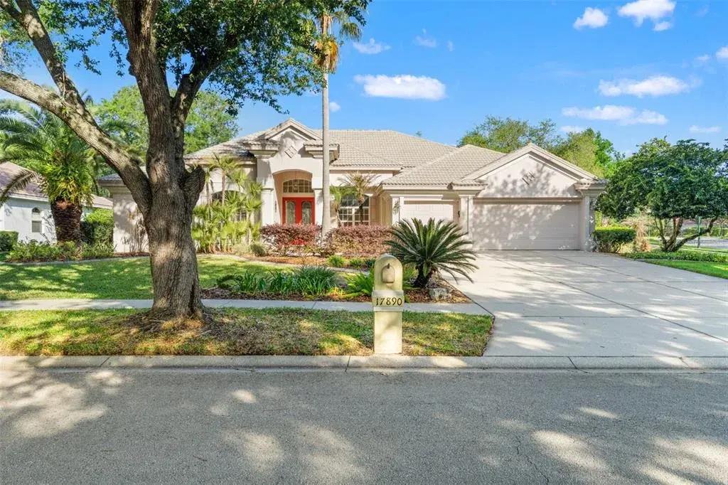 17890 Arbor Greene Drive, Tampa, FL, 33647