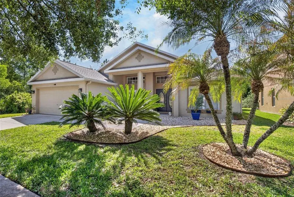 8215 Myrtle Point Way, Tampa, FL, 33647
