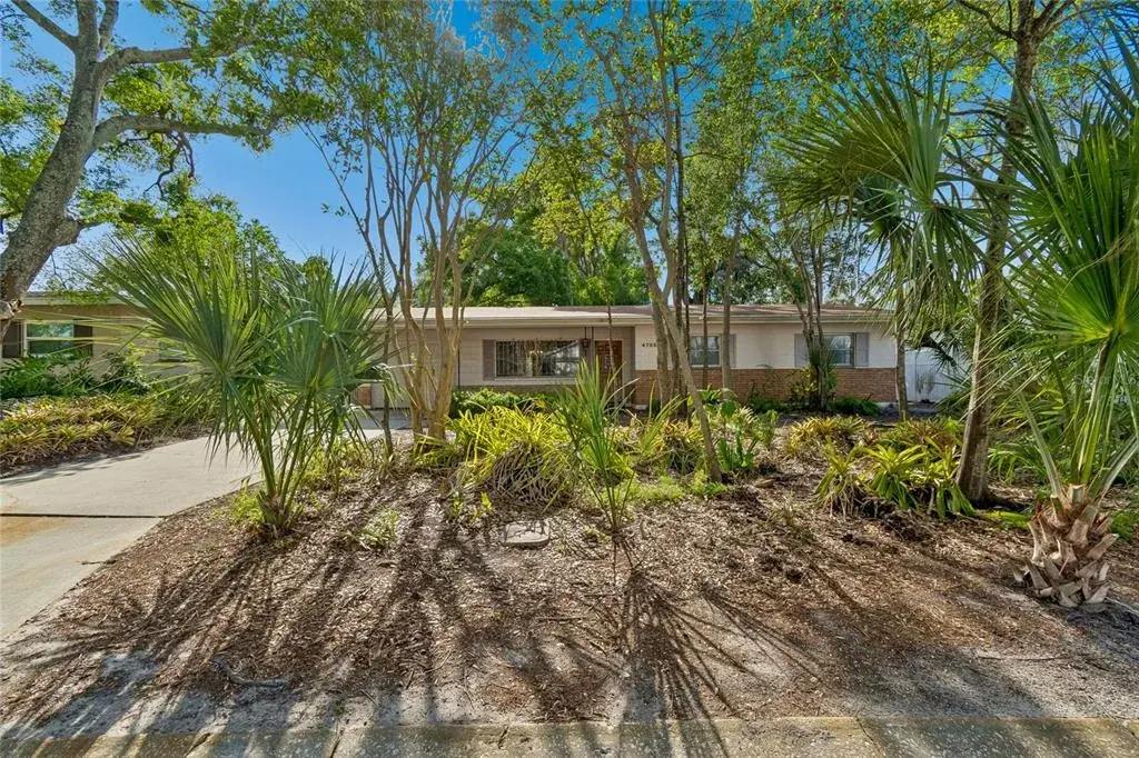 4703 S Renellie Drive, Tampa, FL, 33611