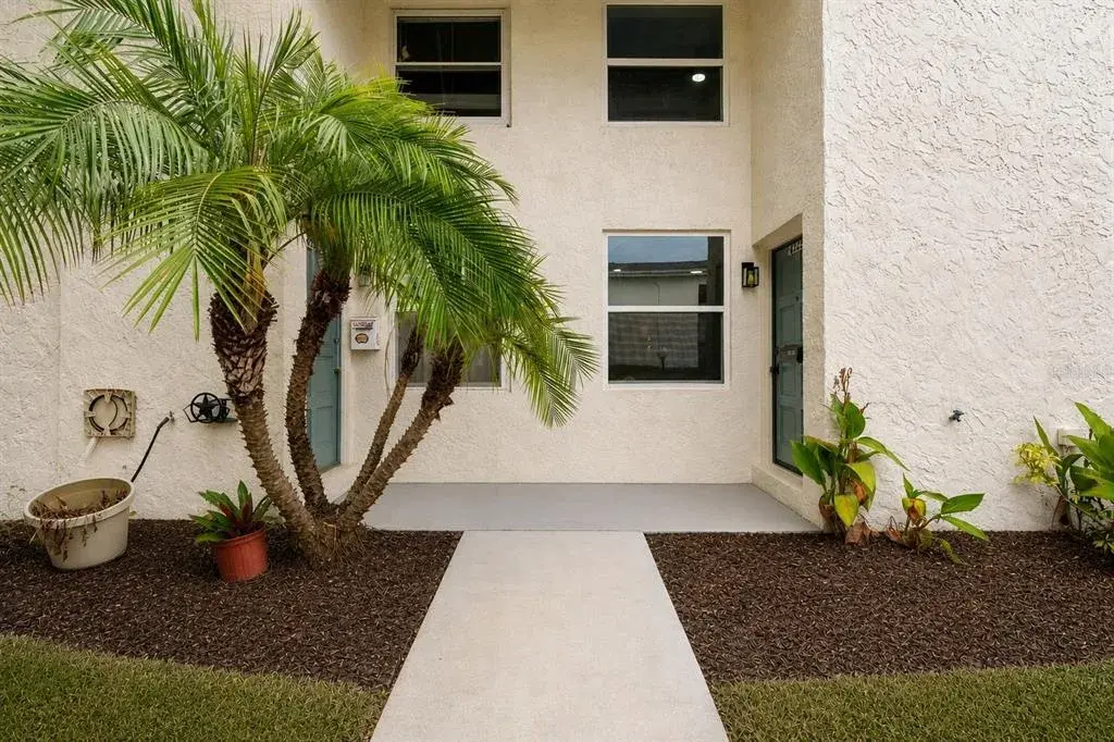 4223 La Palma Court, Tampa, FL, 33611