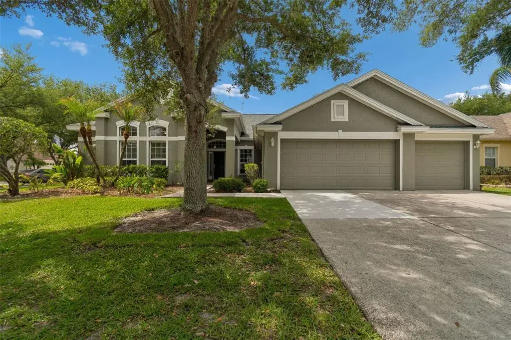 10243 Shadow Branch Drive, Tampa, FL, 33647