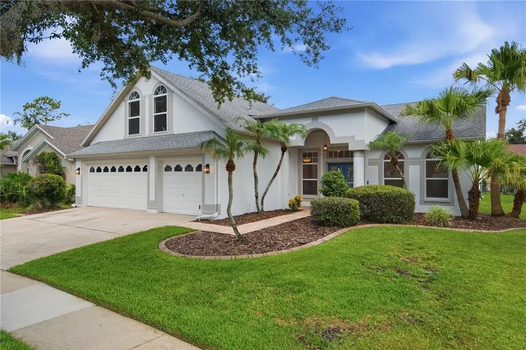 10226 Timberland Point Drive, Tampa, FL, 33647