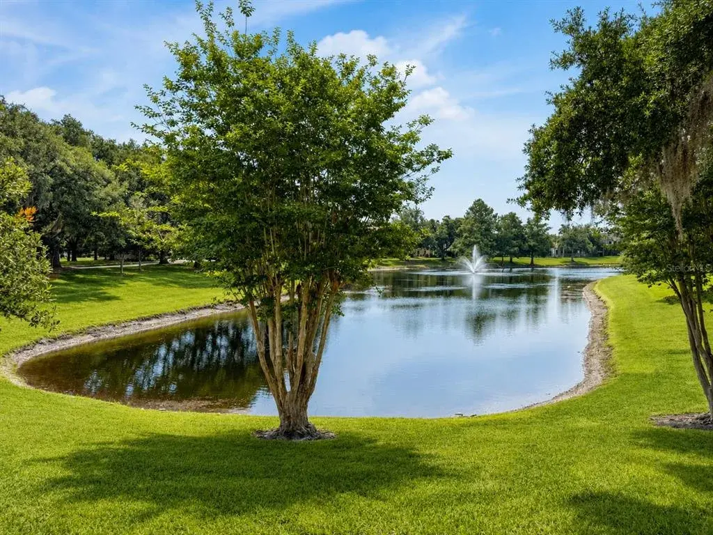 Front Pond View