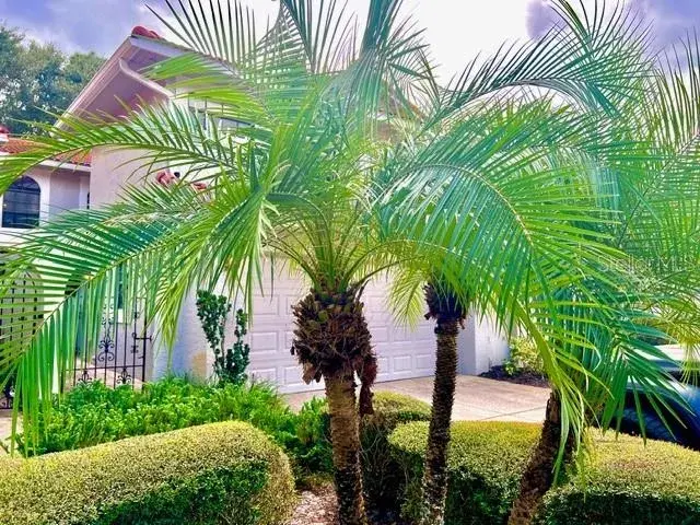 Property for sale at 8214 AMBROSE COVE WAY, ORLANDO, FL, 32819