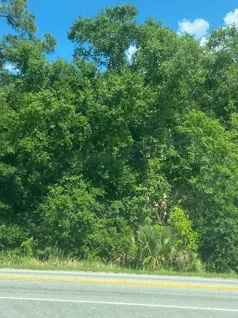 Property for sale at HIGHWAY 17 92 N, DAVENPORT, FL, 33837
