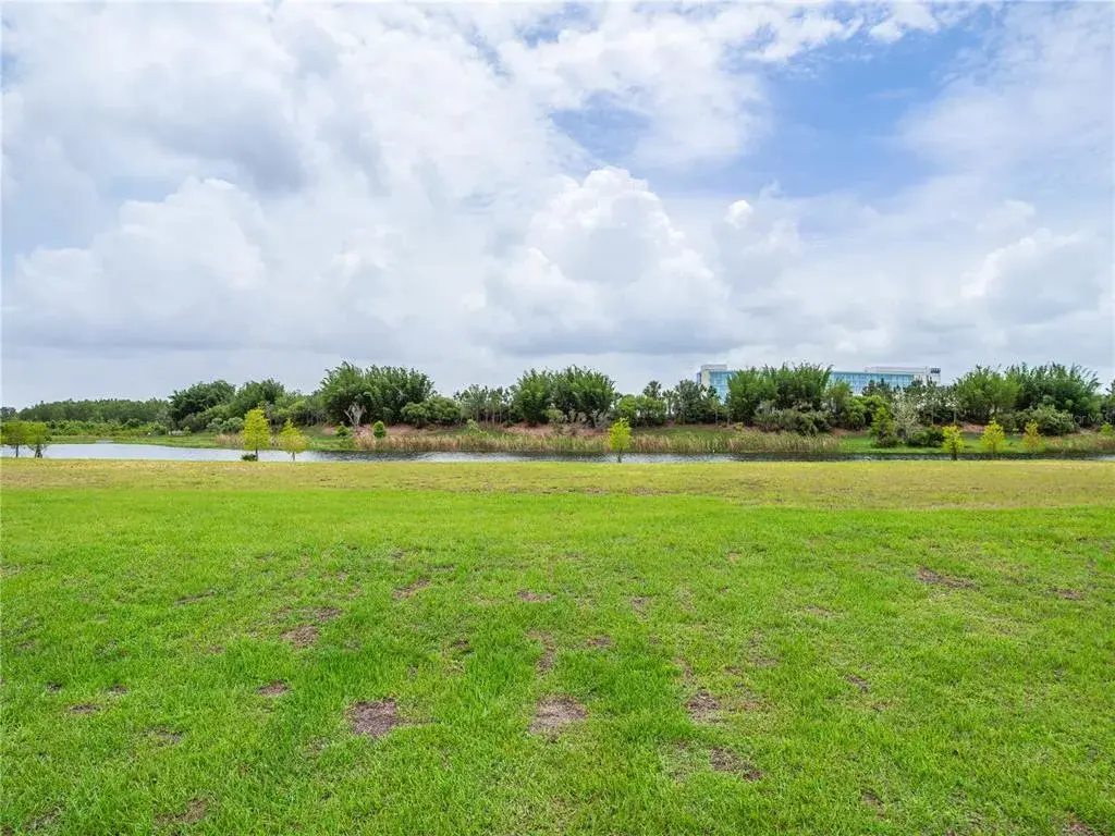 Lot 36