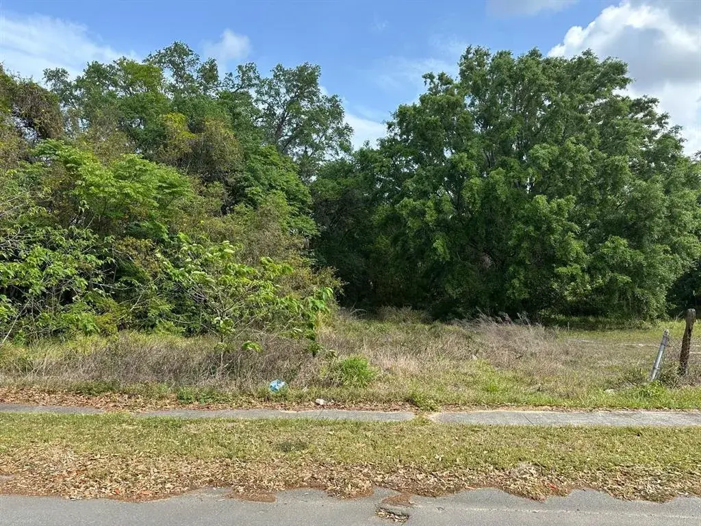 118 W Redding Street, Davenport, FL, 33837