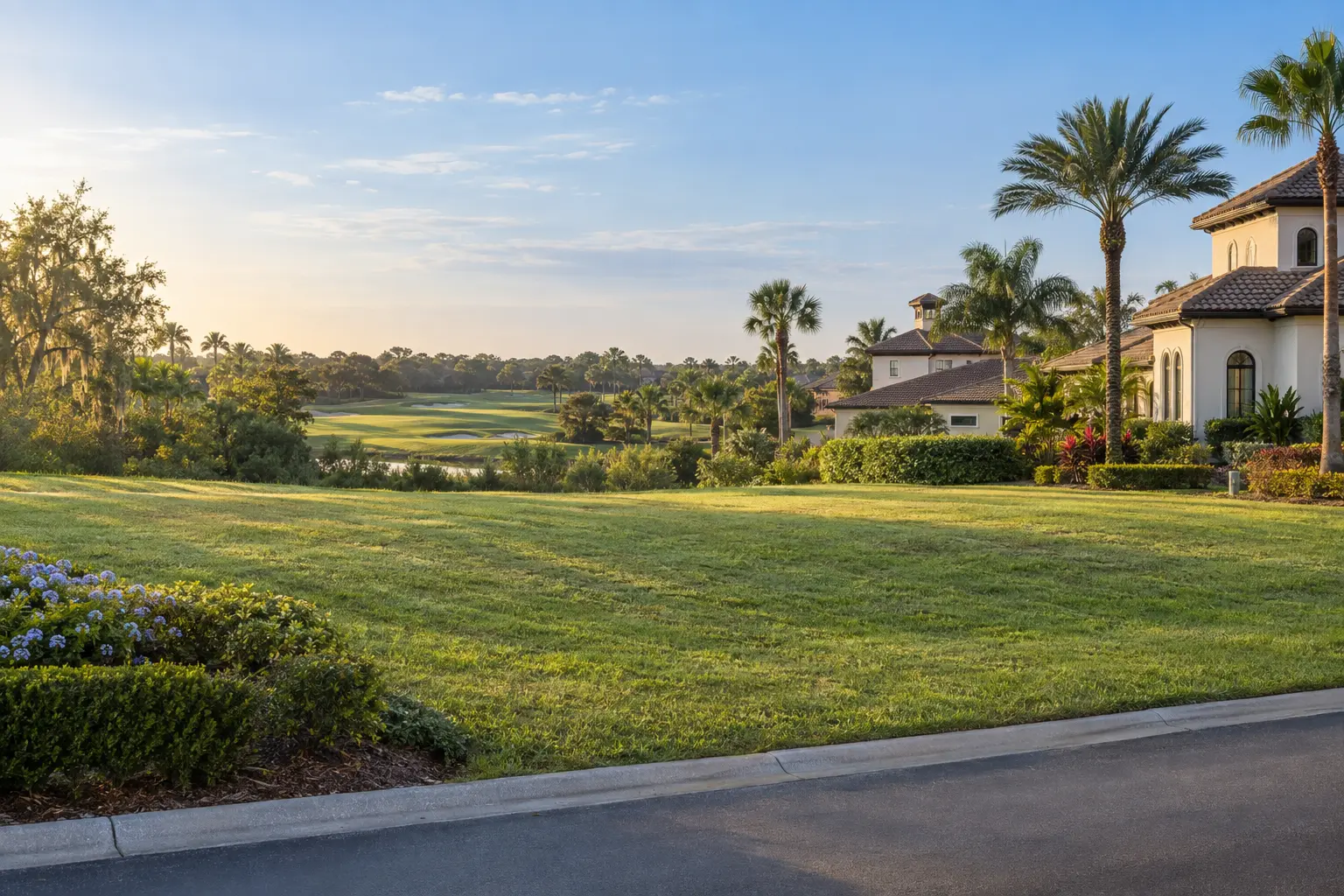 Illustrative Florida resort neighborhood with an open grassy homesite, landscaped golf course and established homes among palms.