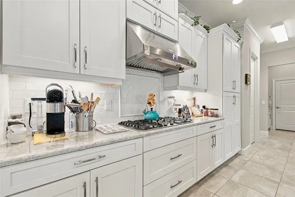 Property for sale at 20163 UMBRIA HILL DRIVE, TAMPA, FL, 33647