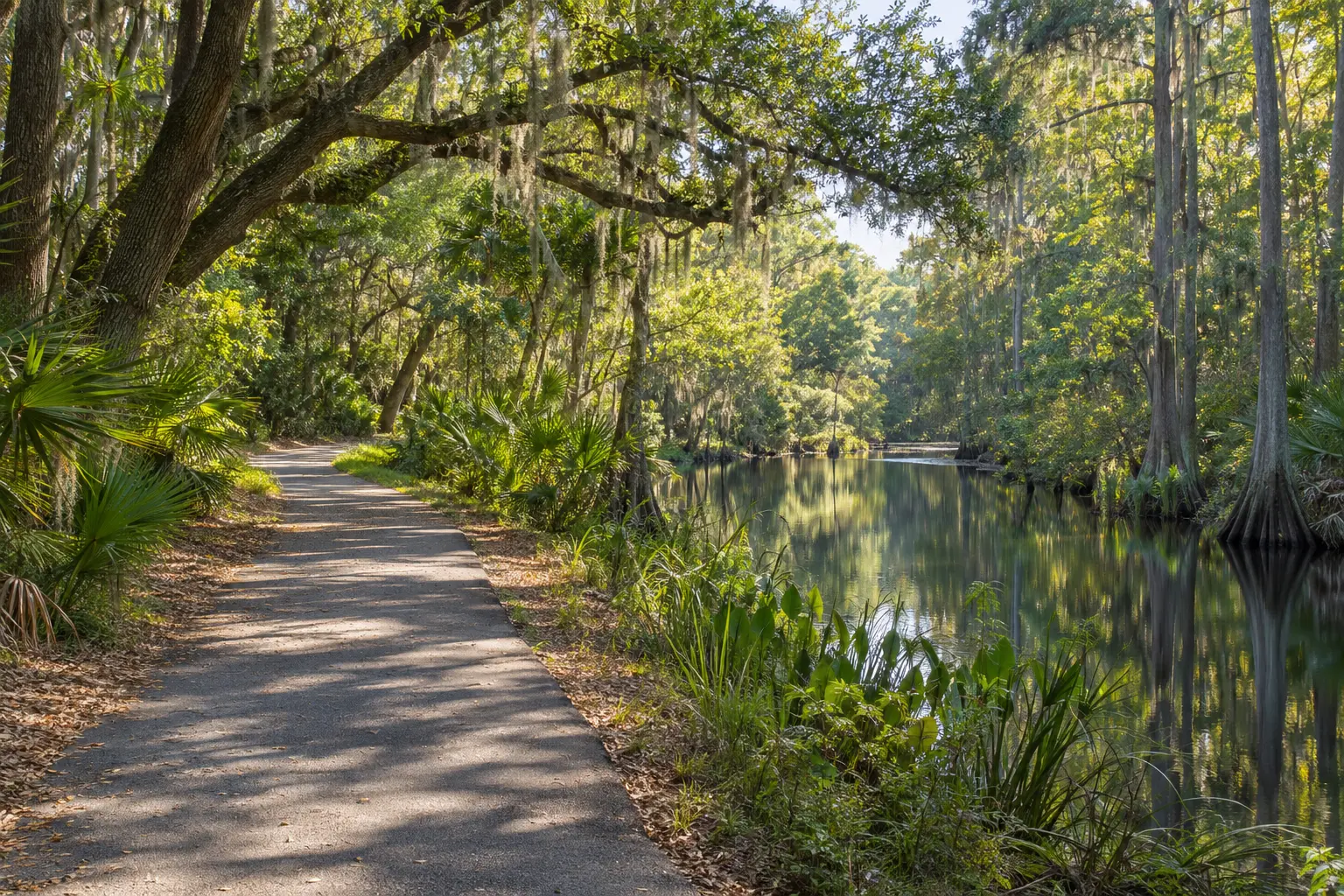 Illustrative view of a shaded waterside trail with cypress trees and calm creek water, inspired by Shingle Creek Regional Park in Kissimmee.