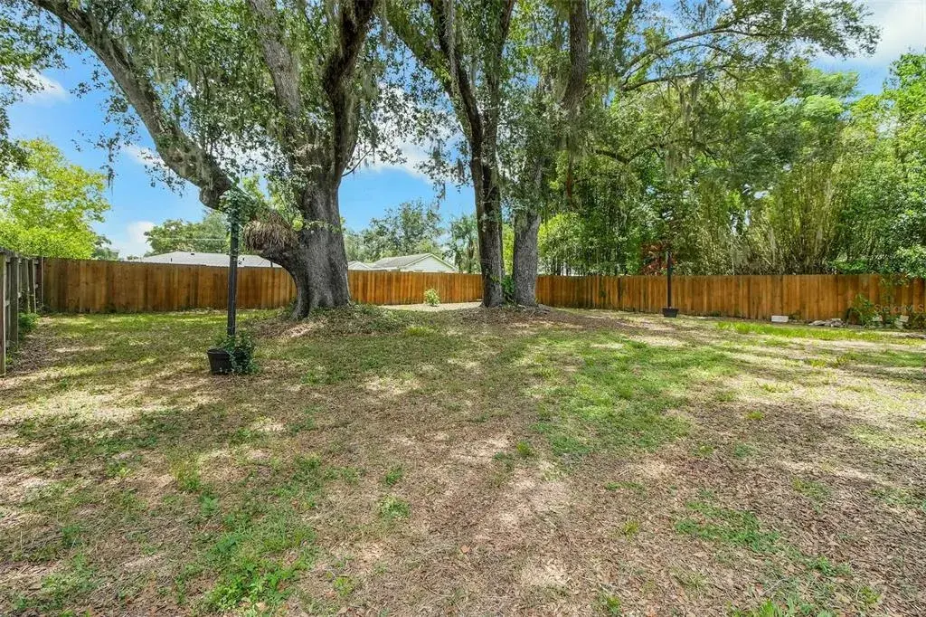 Large Backyard