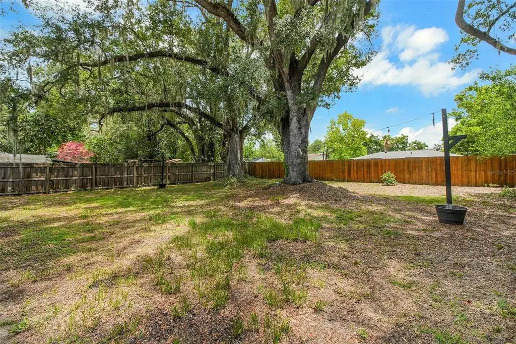 Large Backyard