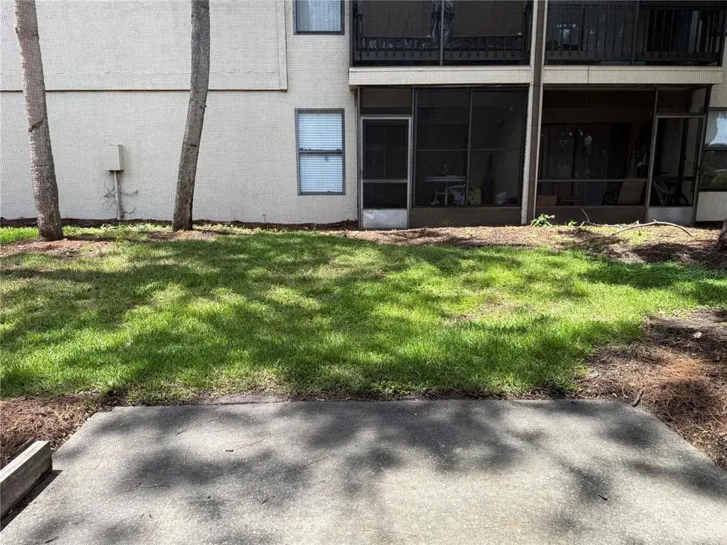Back Yard of Condo