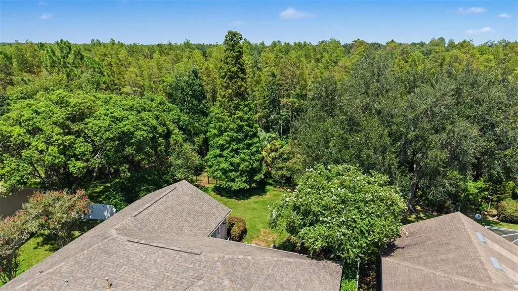 Beautiful conservation lot