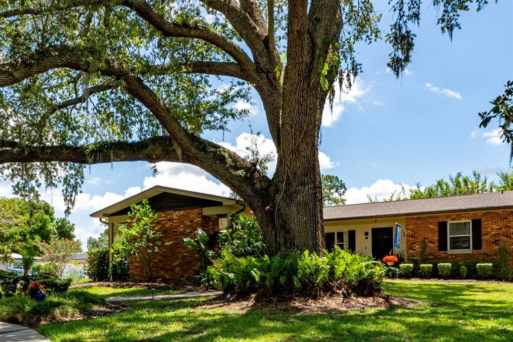 7 Westchester Drive, Kissimmee, FL, 34744