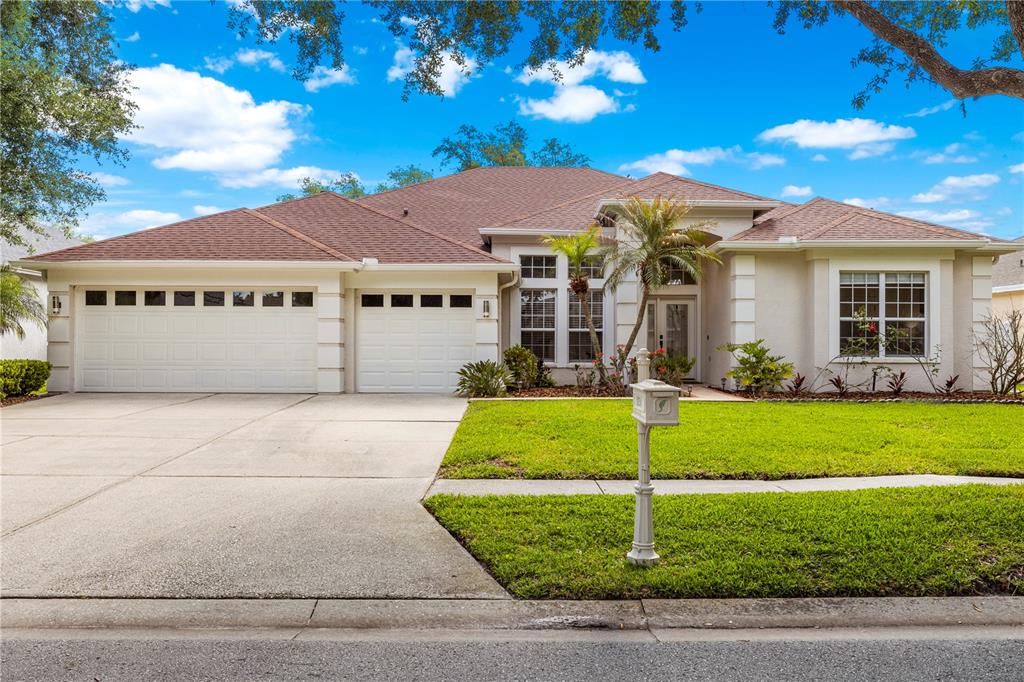 10254 Shadow Branch Drive, Tampa, FL, 33647
