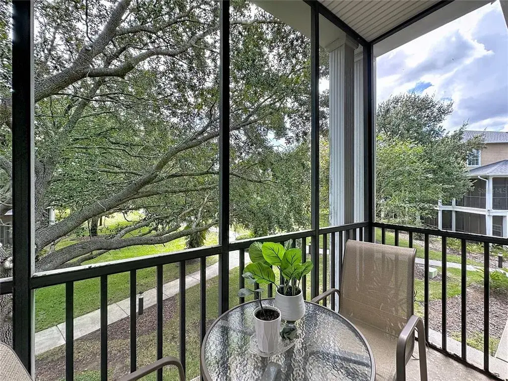 Living Patio