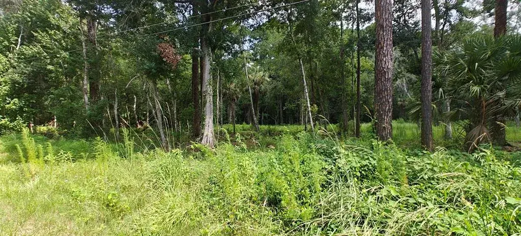 Property for sale at 8401 AMELIA TRAIL, KISSIMMEE, FL, 34747
