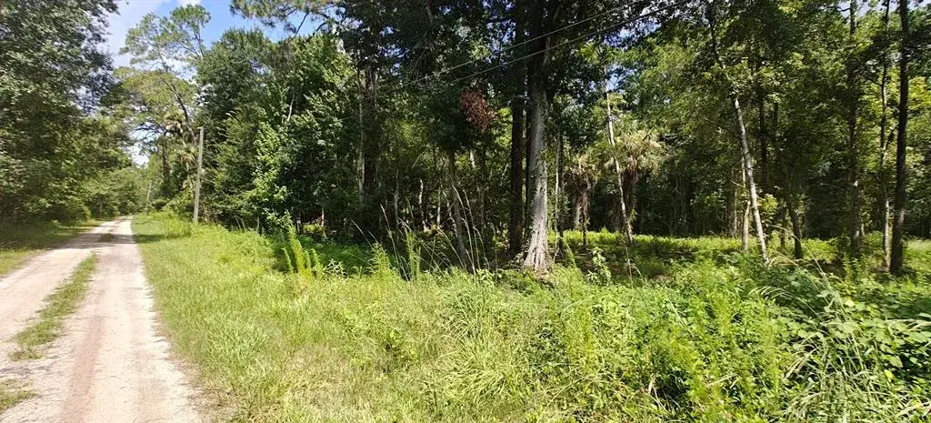Property for sale at 8401 AMELIA TRAIL, KISSIMMEE, FL, 34747