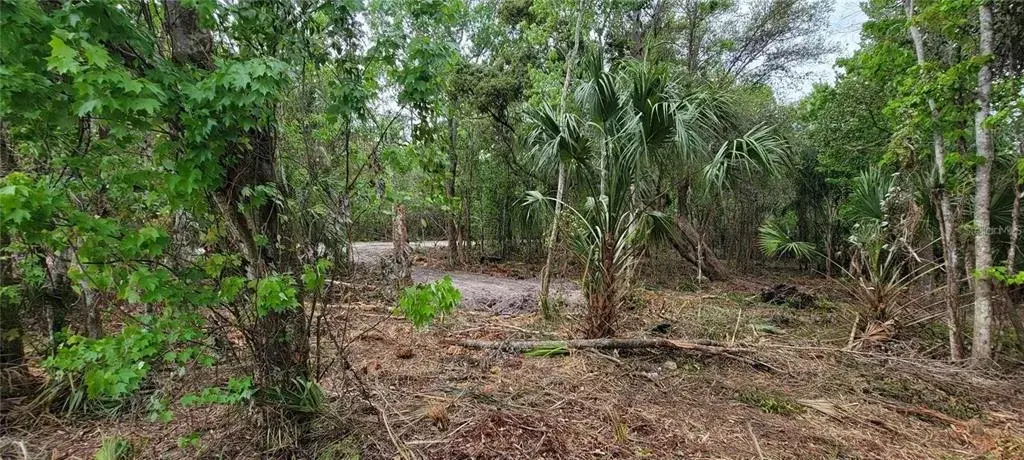 Property for sale at 0 N POINCIANA BOULEVARD, KISSIMMEE, FL, 34746